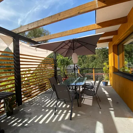 Dom I Lejlighed Brenna